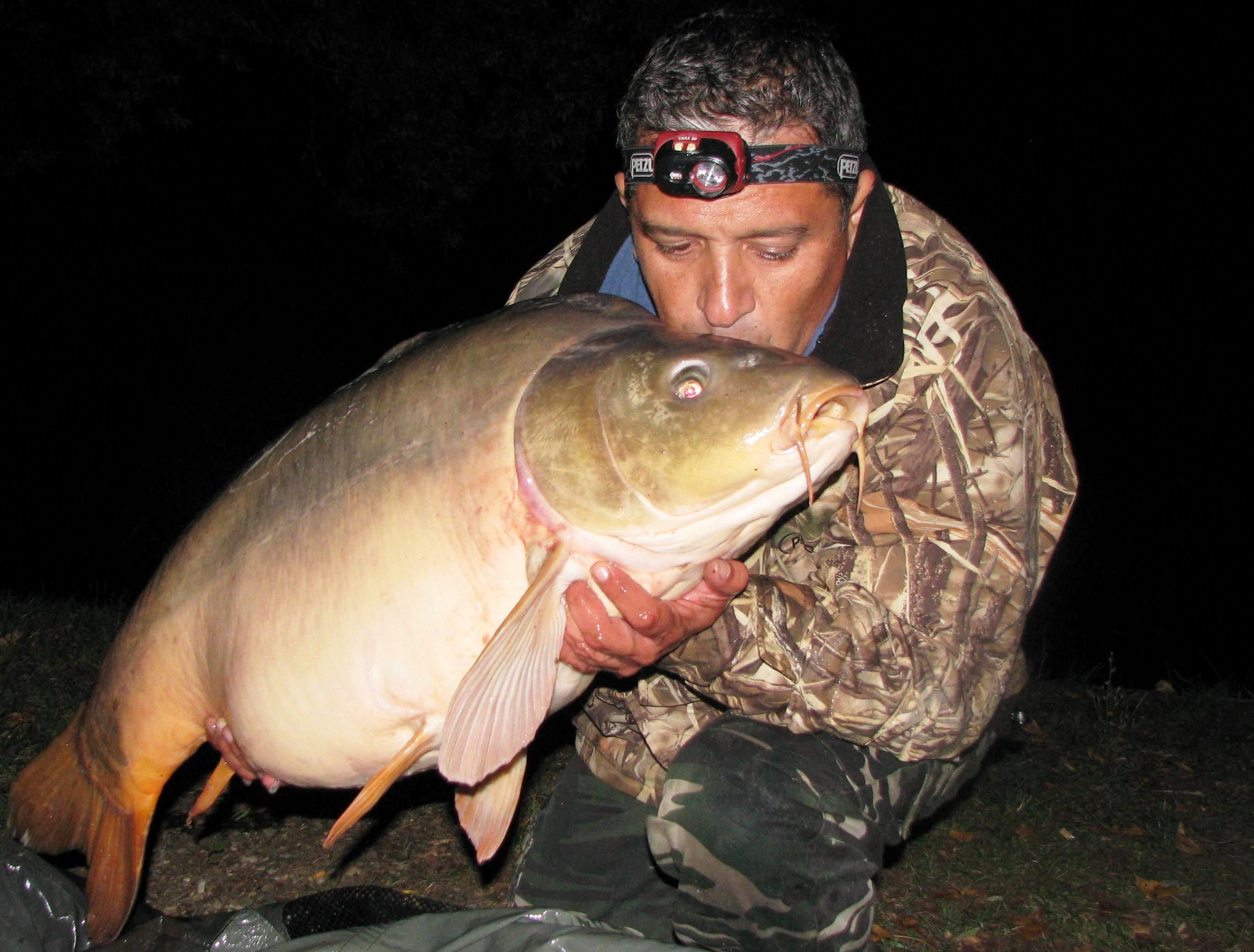 septembrie - octombrie 2012 - 20,3 kg